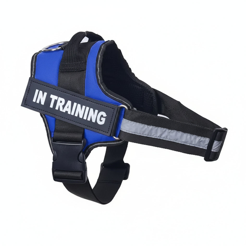 Dropshipping Dog Harness ID Custom Patch Reflective Breathable No Pull Pet Harness Vest Training Dog Accessories